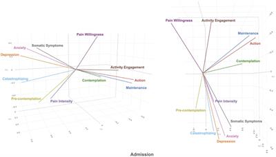 Multidimensional visualization and analysis of chronic pain variables of patients who attended a chronic pain program
